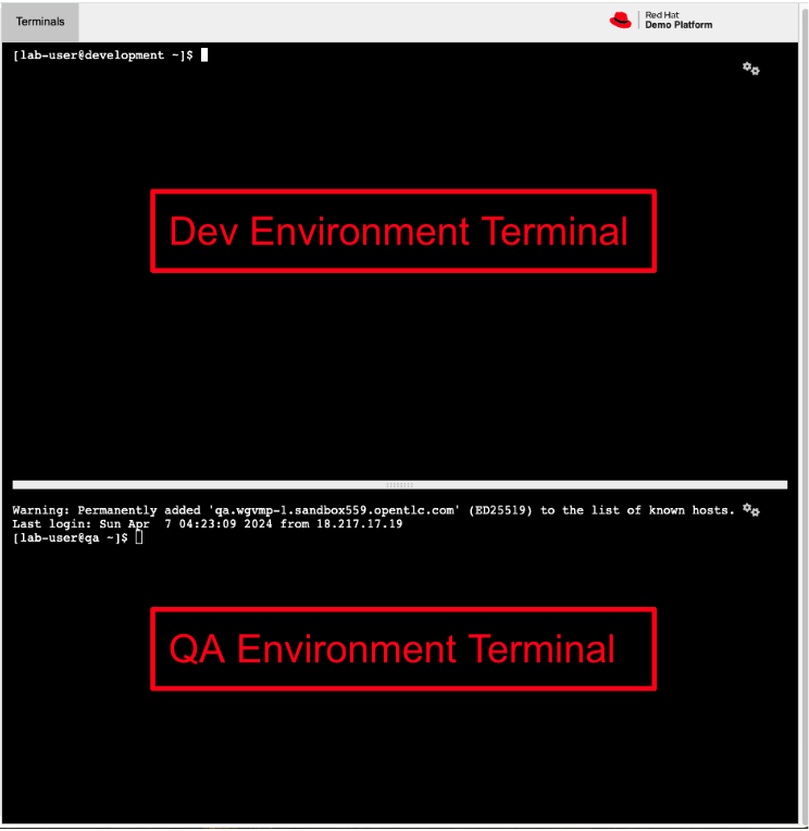 89 Dev vs QA Terminal